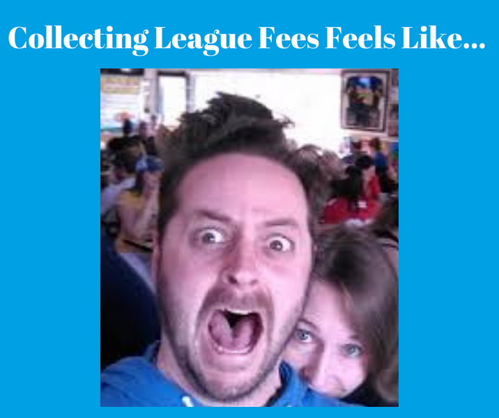 Add a Pay League Fees Button to your Website - The Easy Way